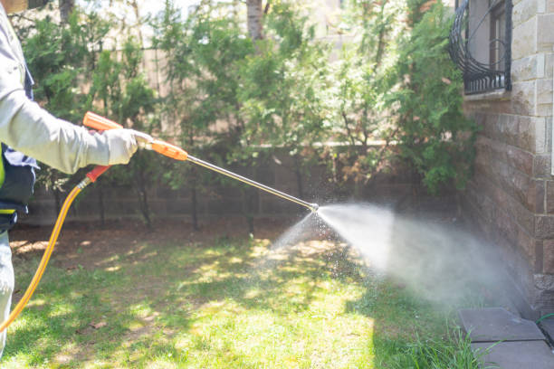 Emergency Pest Control in Pleasant Grove, AL